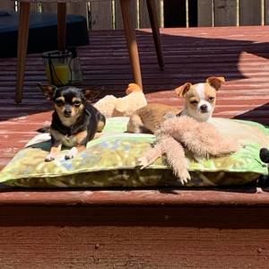 Meet your Posher, Michel